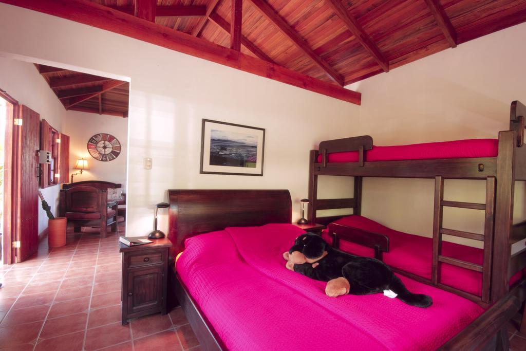 Orosi Lodge Rum bild